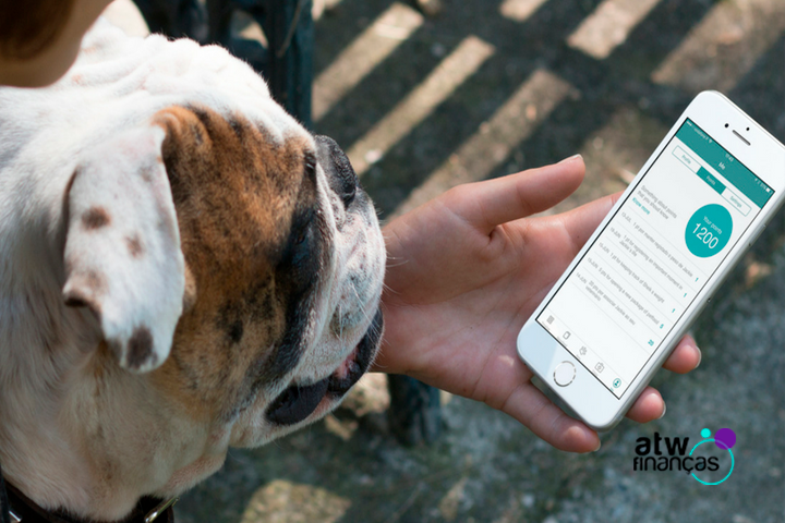 5 aplicativos que você precisa ter se tem um pet