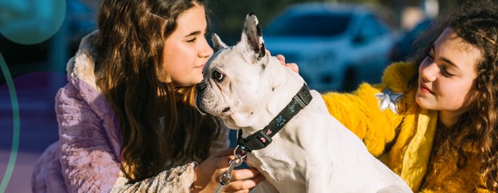 Pets na cidade: vacinação, castração gratuita e cuidados no calor