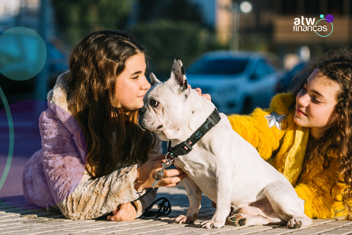 Pets na cidade: vacinação, castração gratuita e cuidados no calor
